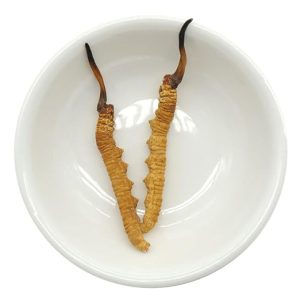 Alternative view of Buy Cordyceps Sinensis Online
