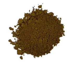 Buy Dried Organic Reishi Mushroom Powder Online