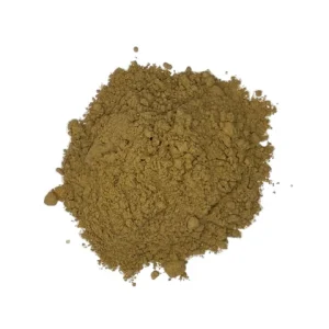 Buy Dried Porcini POWDER - 1 lb jar