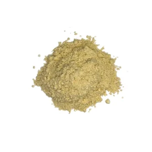 Buy Dried Organic Oyster Mushroom Powder Online