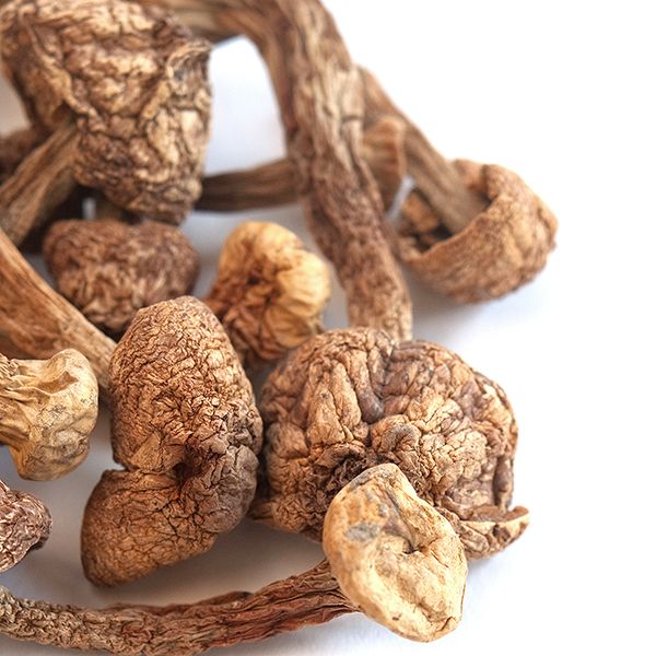 Buy Brazilian Magic Mushrooms Online