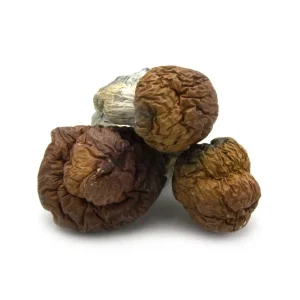 Buy Texas Yellow Cap Mushroom Online